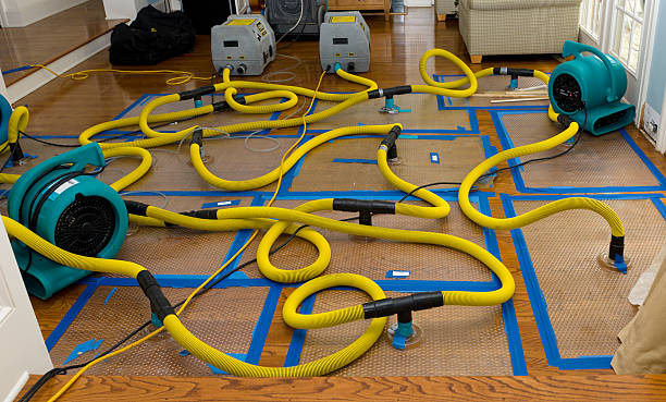 Professional Crawl Space Water Removal technician working in Longview, WA